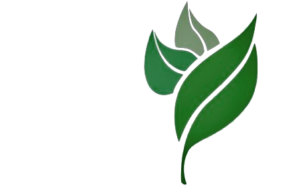 CHH Leaf Logo