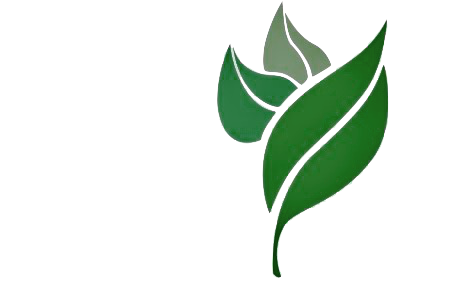 CHH Leaf Logo